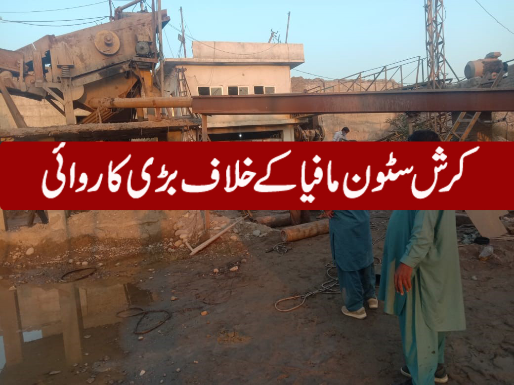 کرش سٹون مافیا