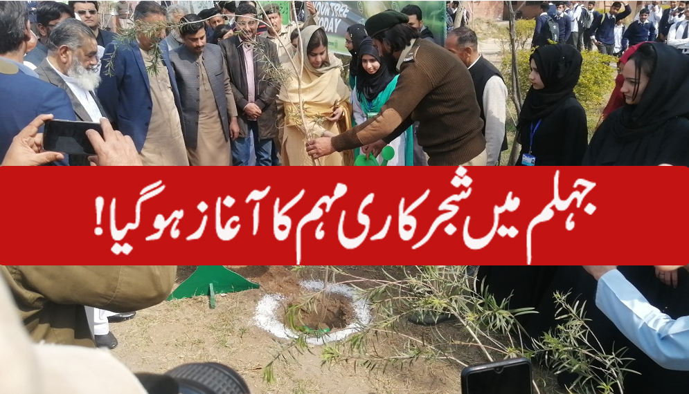 شجرکاری مہم