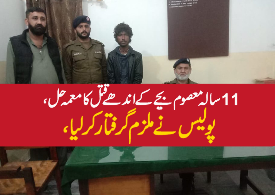 قتل کا معمہ حل