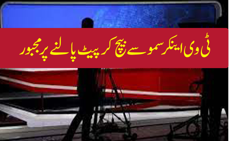 ٹی وی اینکر